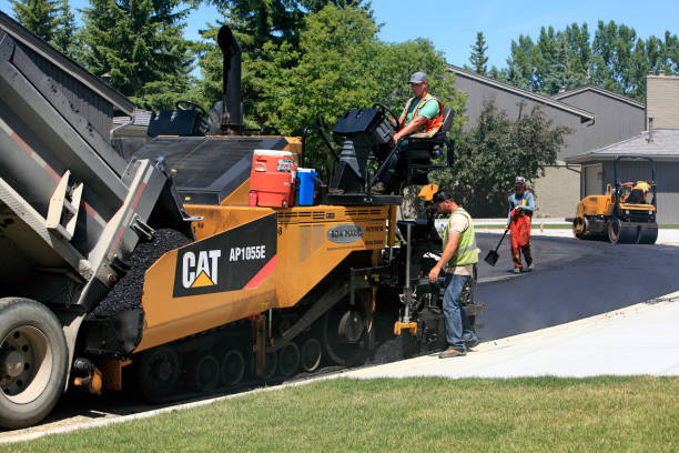 Best Driveway Repair Near Me  in Mountainair, NM